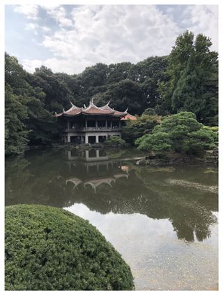 Gallery Image 23