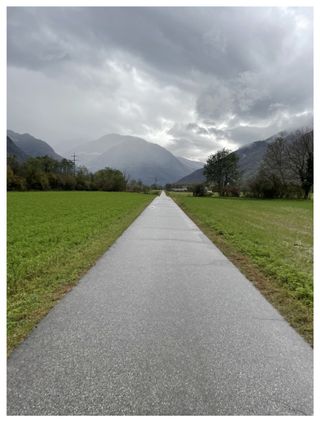 Gallery Image 36