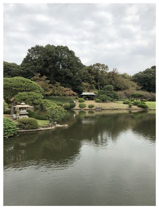 Gallery Image 22